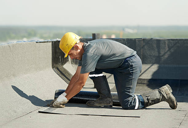 Best Cellulose Insulation in Grandyle Village, NY